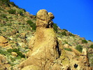 photo thumbnail #11