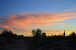 photo thumbnail #10