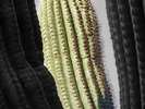 photo thumbnail #7
