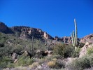 photo thumbnail #4