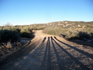 photo thumbnail #2