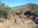 photo thumbnail #3