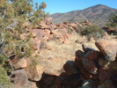 photo thumbnail #5