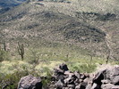 photo thumbnail #14