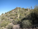 photo thumbnail #4