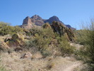 photo thumbnail #2