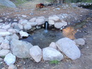 photo thumbnail #13