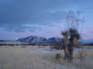 photo thumbnail #5