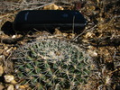 photo thumbnail #11