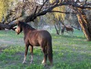 photo thumbnail #3