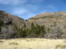 photo thumbnail #8