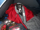 photo thumbnail #8