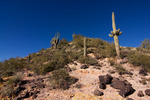 photo thumbnail #5