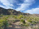 photo thumbnail #2