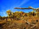photo thumbnail #8