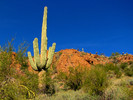 photo thumbnail #12