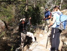 photo thumbnail #11