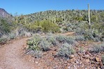 photo thumbnail #5