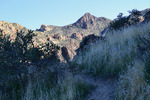 photo thumbnail #6