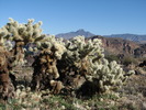 photo thumbnail #9