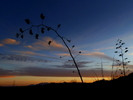 photo thumbnail #14