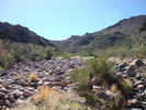 photo thumbnail #5