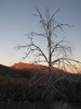 photo thumbnail #2