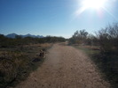 photo thumbnail #1
