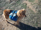 photo thumbnail #3