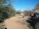 photo thumbnail #4
