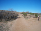 photo thumbnail #7