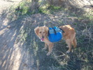 photo thumbnail #9
