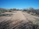 photo thumbnail #11