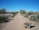 photo thumbnail #15
