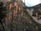 photo thumbnail #1