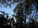 photo thumbnail #14