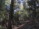 photo thumbnail #15