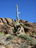 photo thumbnail #4
