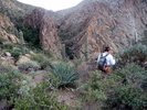 photo thumbnail #2