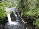 photo thumbnail #6