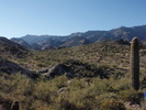 photo thumbnail #3