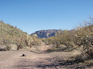 photo thumbnail #6