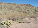 photo thumbnail #7