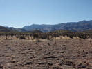 photo thumbnail #8