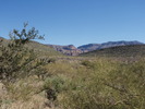 photo thumbnail #12