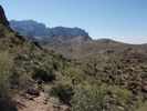 photo thumbnail #15