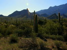 photo thumbnail #1