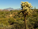 photo thumbnail #13