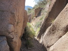 photo thumbnail #4
