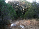 photo thumbnail #2
